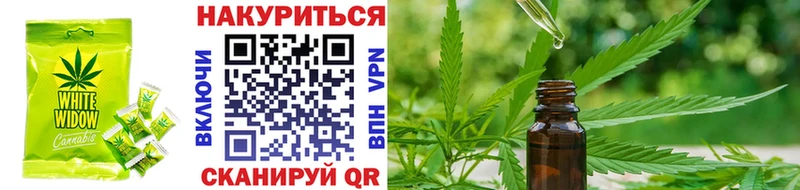 магазин продажи наркотиков  Нижнекамск  Cannafood конопля 