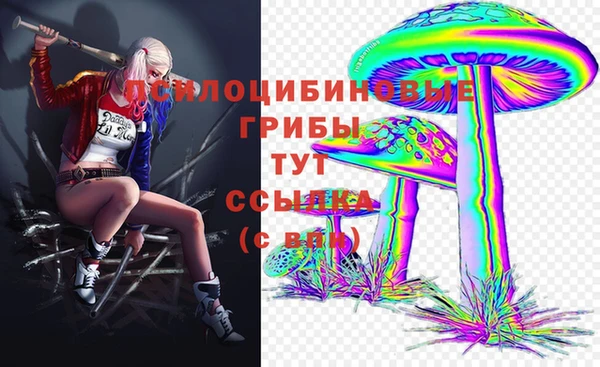 стаф Богородицк