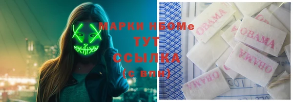 стаф Богородицк