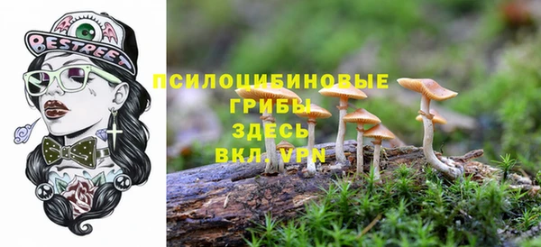 хмурый Богданович