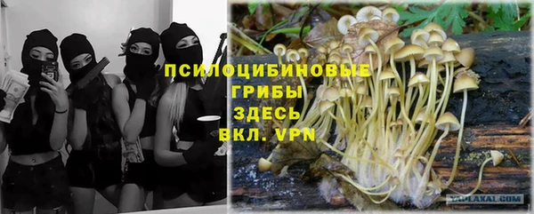 стафф Богородск