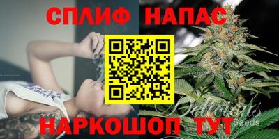 apvp Нарткала