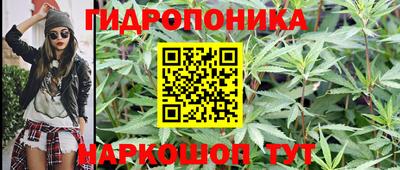 apvp Нарткала