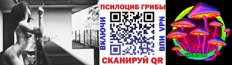 Псилоцибиновые грибы MAGIC MUSHROOMS  закладка  Нижнекамск 