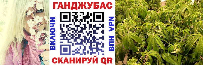 хочу   Нижнекамск  Шишки марихуана планчик 